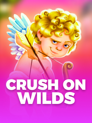 Carteiras digitais - PicPay, Mercado Pago, PayPal